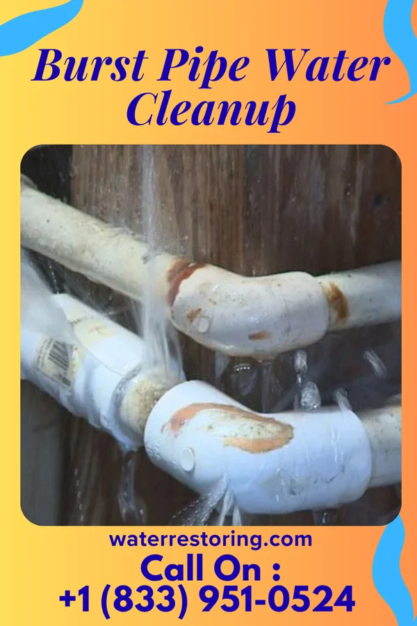 Burst Pipe Water Cleanup in Buhl, MN
