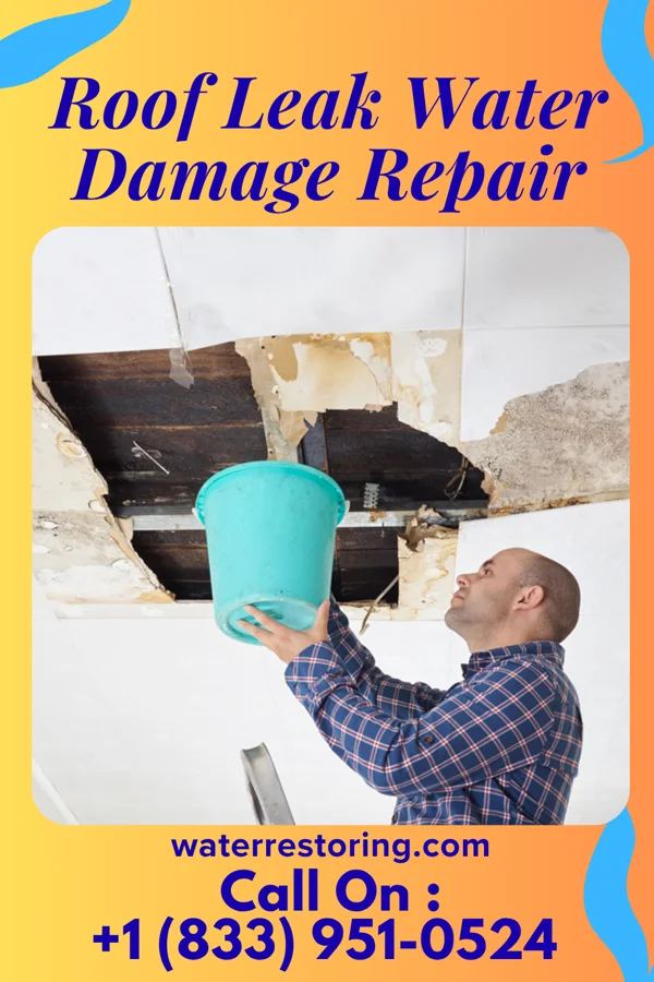 Roof Leak Water Damage Repair in Buhl, MN