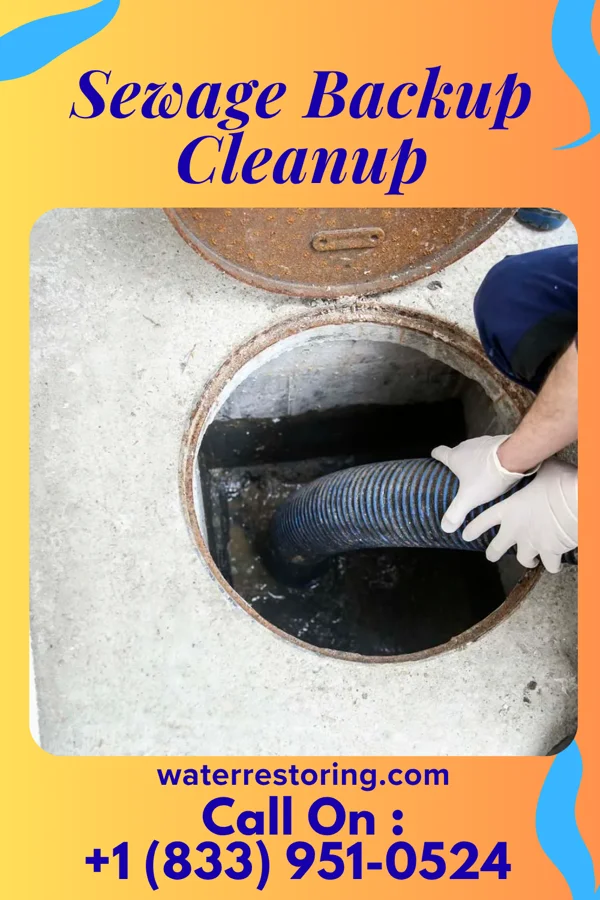 Sewage Backup Cleanup in Buhl, MN