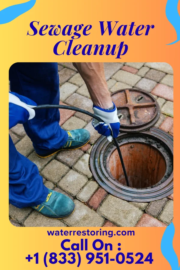 Sewage Water Cleanup in Buhl, MN
