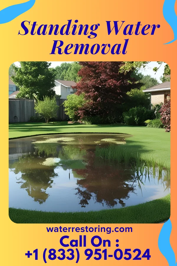 Standing Water Removal in Buhl, MN